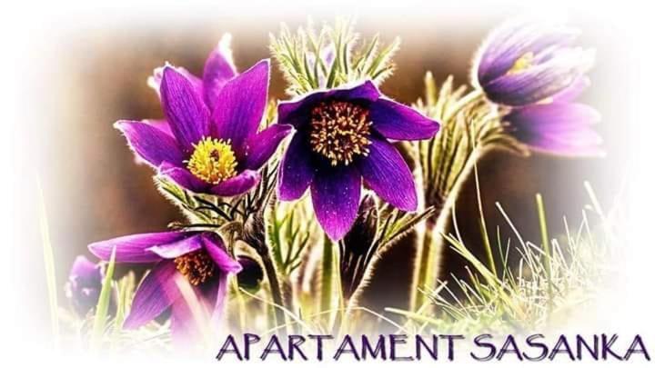 Apartament Sasanka Ковары Экстерьер фото